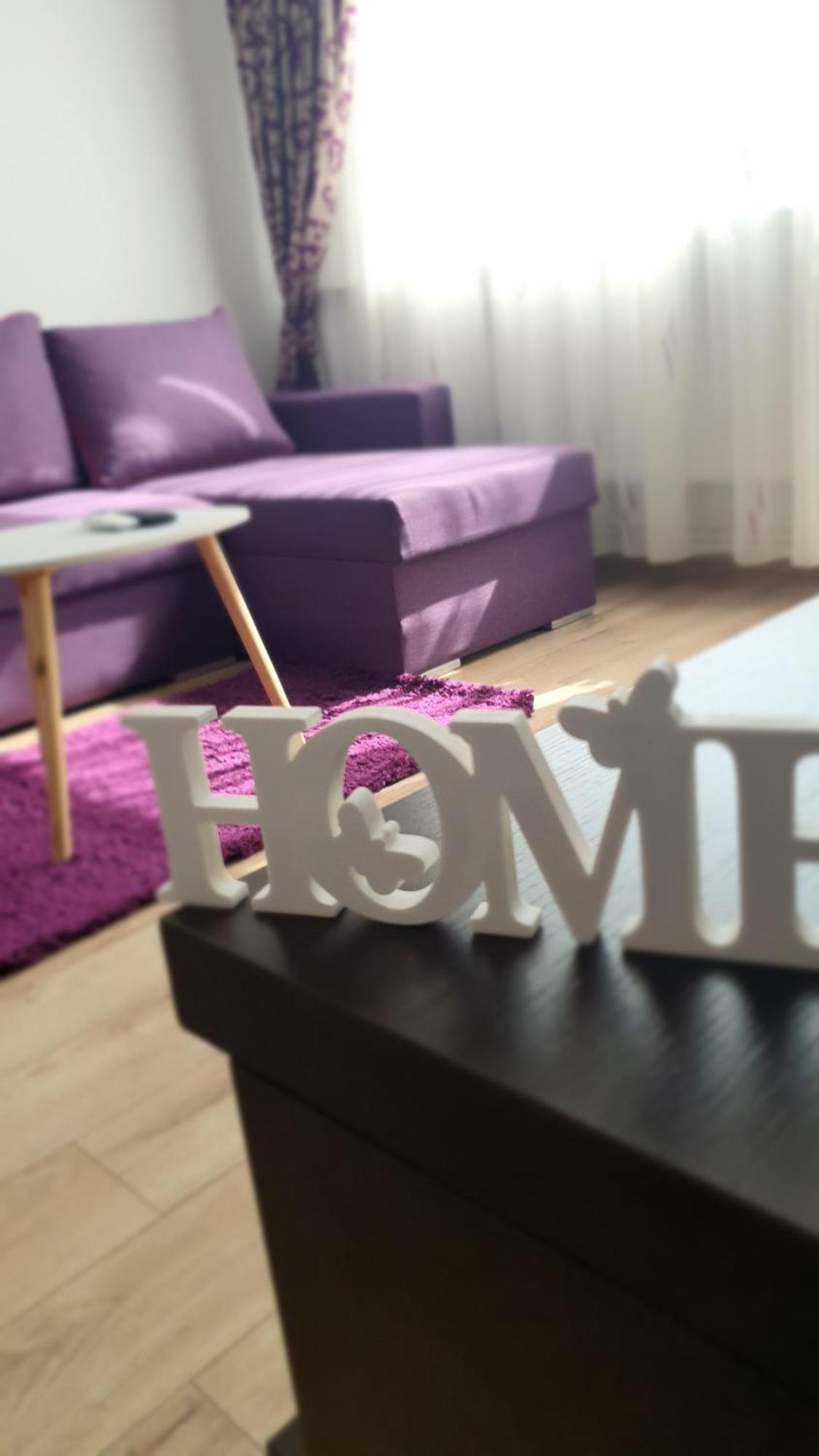 Andrei Apartment براشوف المظهر الخارجي الصورة