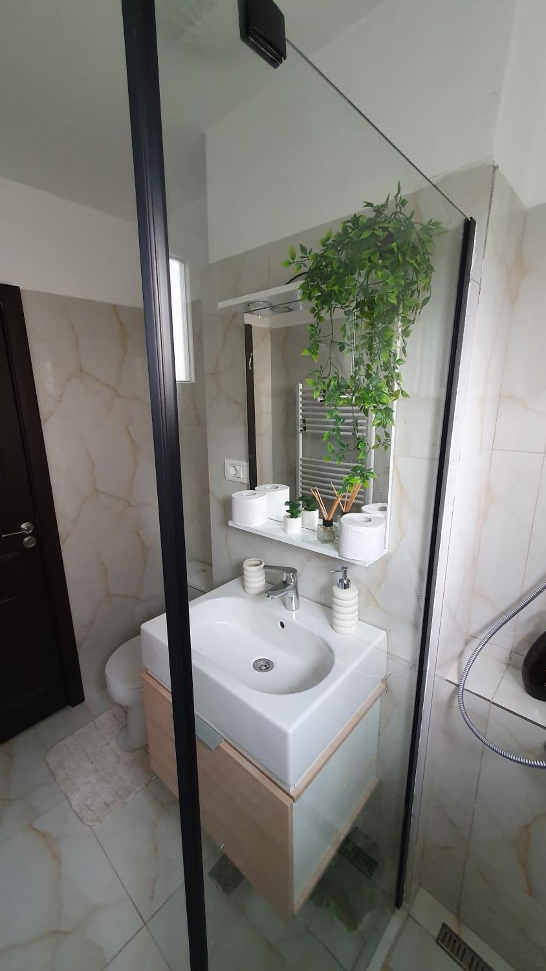 Andrei Apartment براشوف المظهر الخارجي الصورة