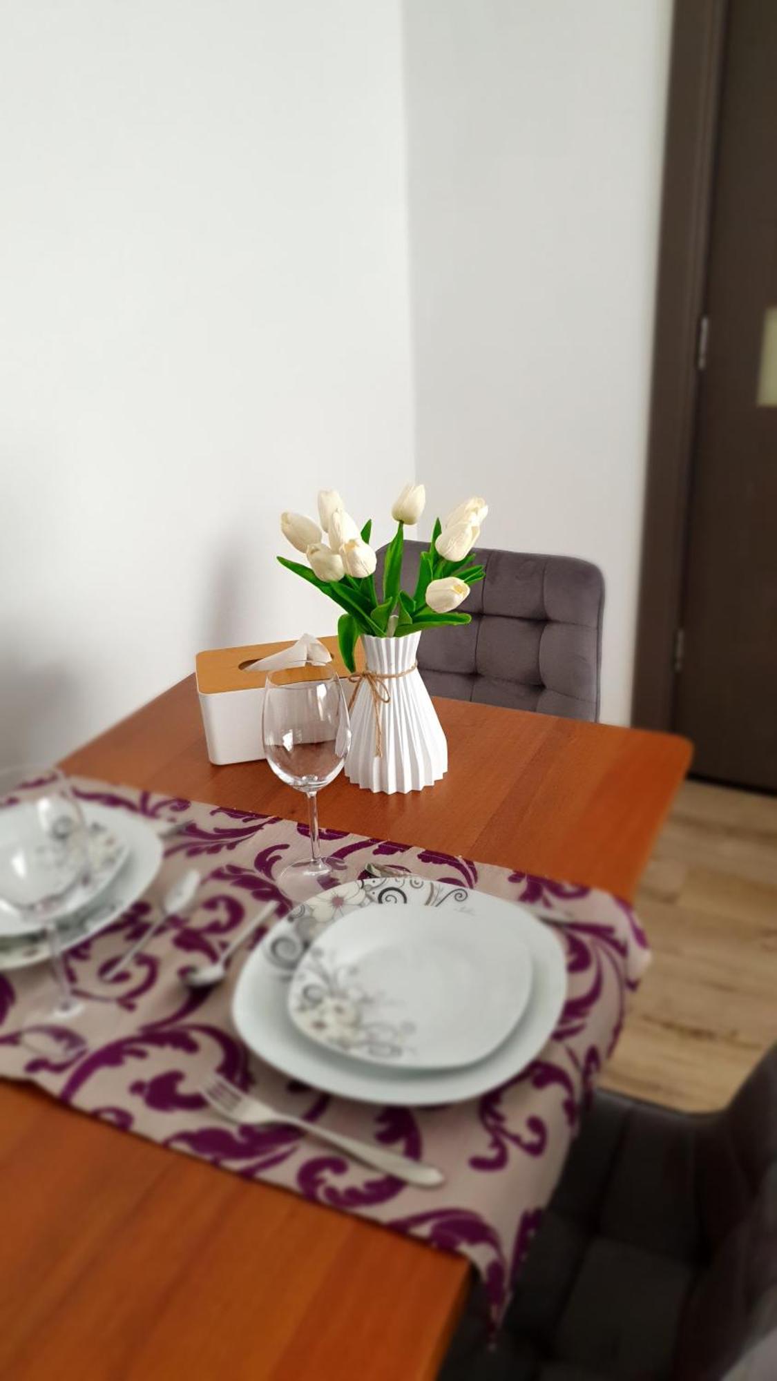 Andrei Apartment براشوف المظهر الخارجي الصورة