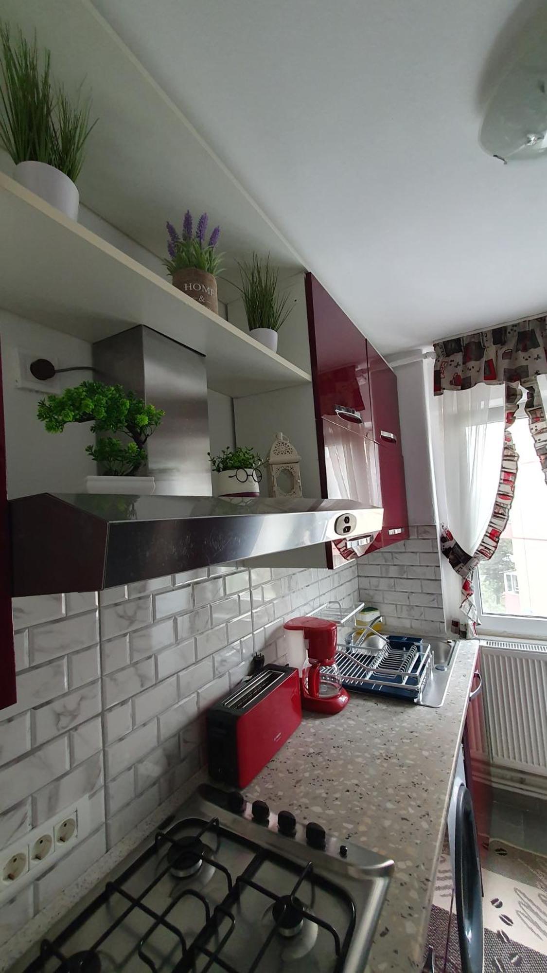 Andrei Apartment براشوف المظهر الخارجي الصورة